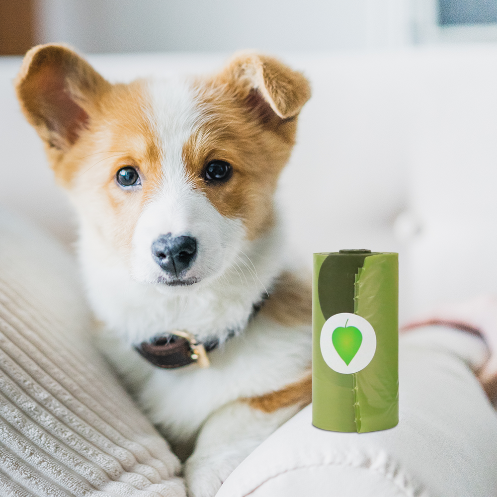 Eco-Friendly Scented Poop Bag