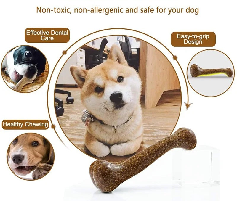 Durable Dog Bone Chew Toy