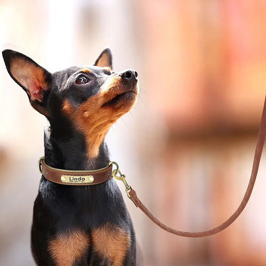 Customized Leather Dog Collar Leash Set