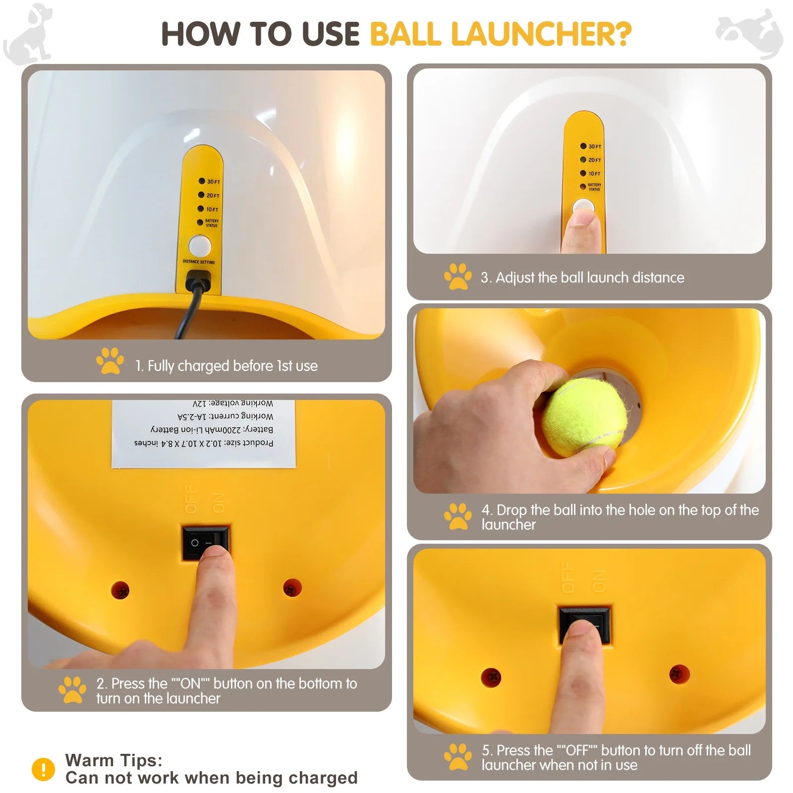 Automatic Dog Ball Launcher