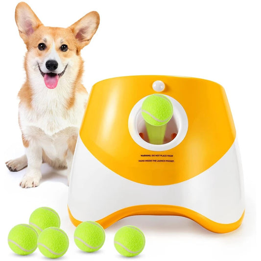 Automatic Dog Ball Launcher