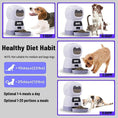 Load image into Gallery viewer, Smart Automatic Pet Food Dispenser 3.5L
