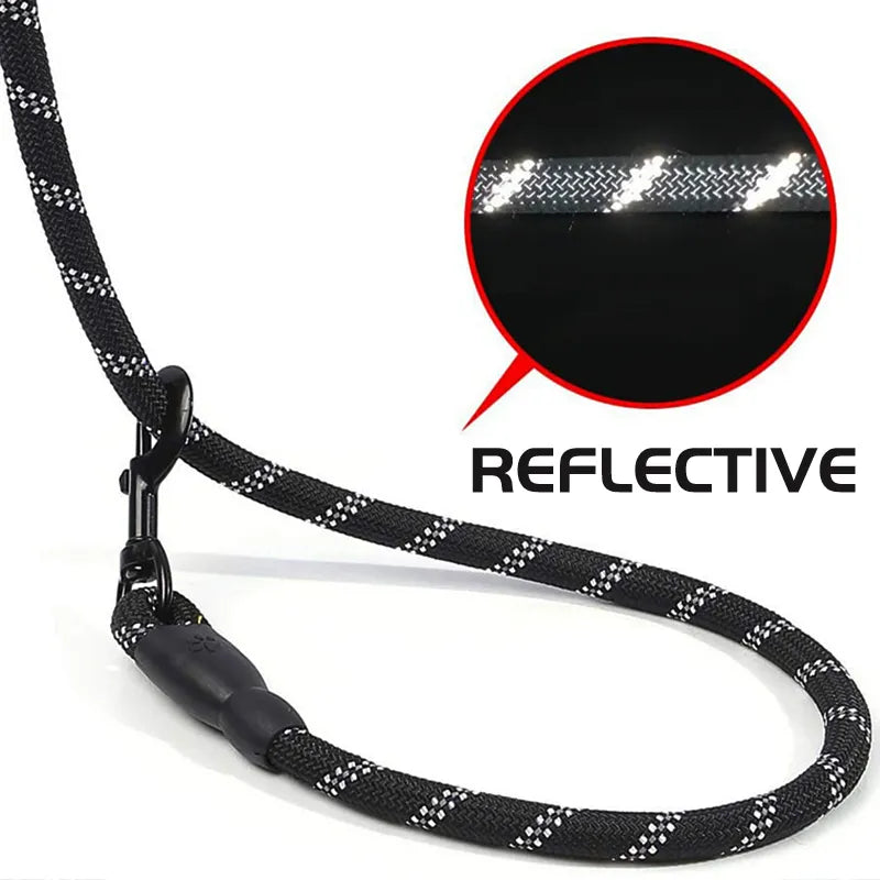 Reflective Dog Leash With Cozy Padded Handle