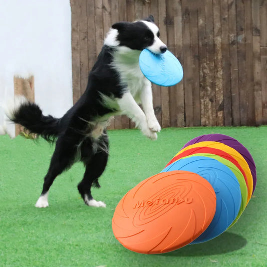 Interactive Silicone Frisbee Dog Train Toy