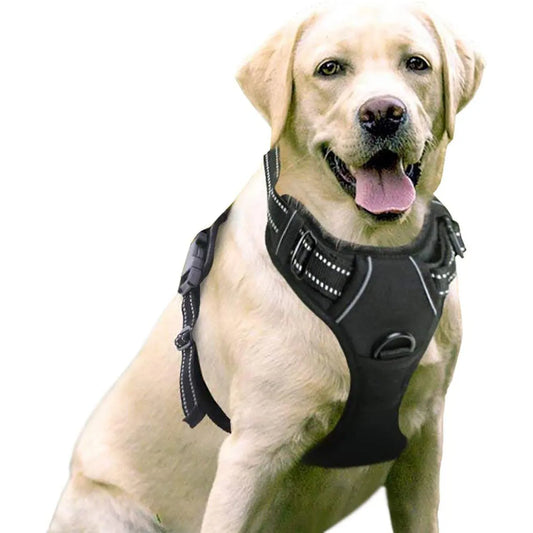 Two Leash Clips No-Pull Dog Vest Harness