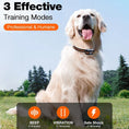 Load image into Gallery viewer, Remote Dog Training Collar - Beep, Vibrate, Shock
