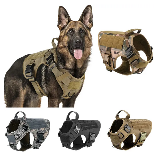 K9 Tactical Training Dog Harness Collar Leash Set Success